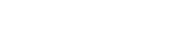 Palm Tech